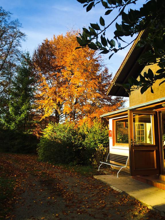 Le Chalet Luttenbach-près-Munster Exterior foto