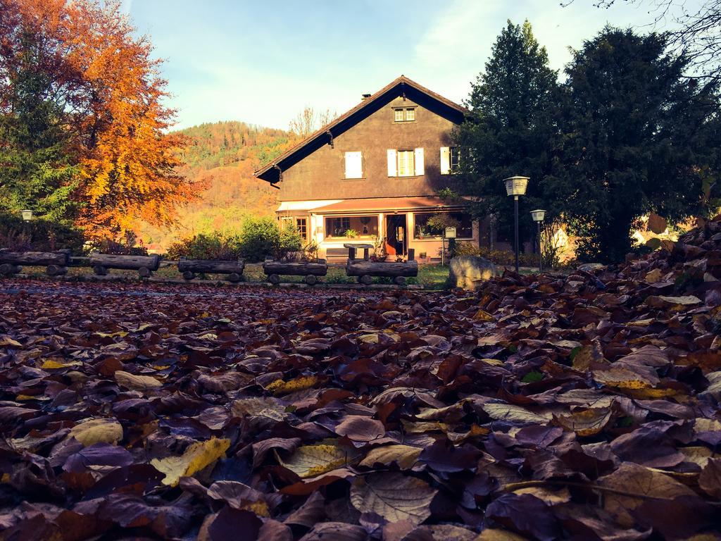 Le Chalet Luttenbach-près-Munster Exterior foto